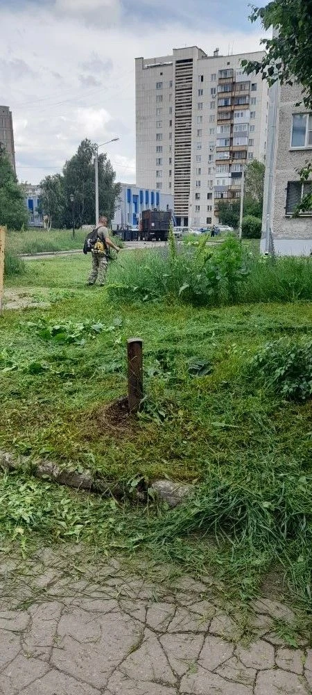 Проведён покос травы между домами 180/2 и 180/3 по проспекту Карла Маркса. Рассказываем, зачем это н