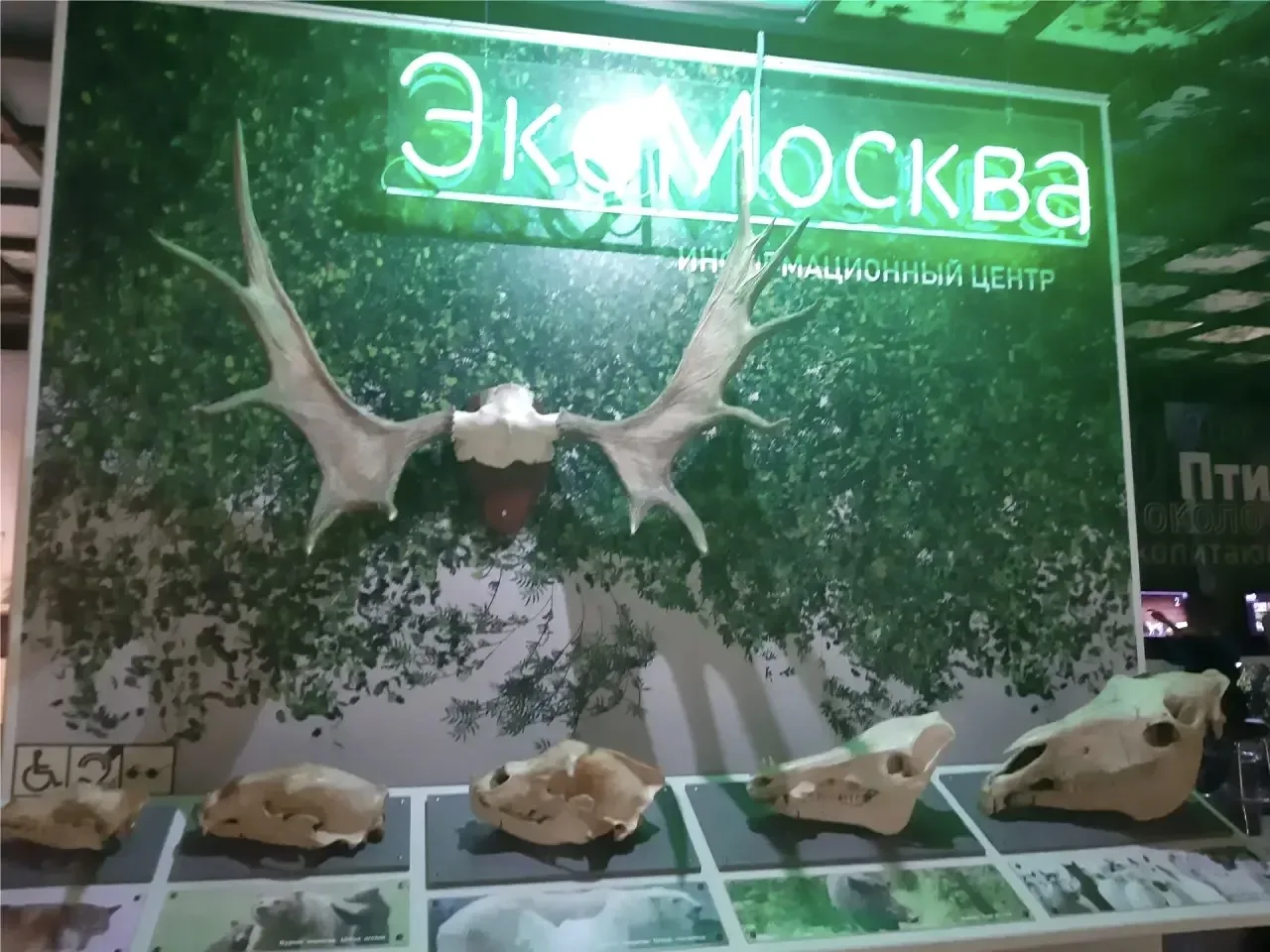 🍄 «ТИХАЯ ОХОТА» В ДАРВИНОВСКОМ МУЗЕЕ  🤔 Кто сказал, что сезон грибов еще не открыт? Ученики 3Н класс