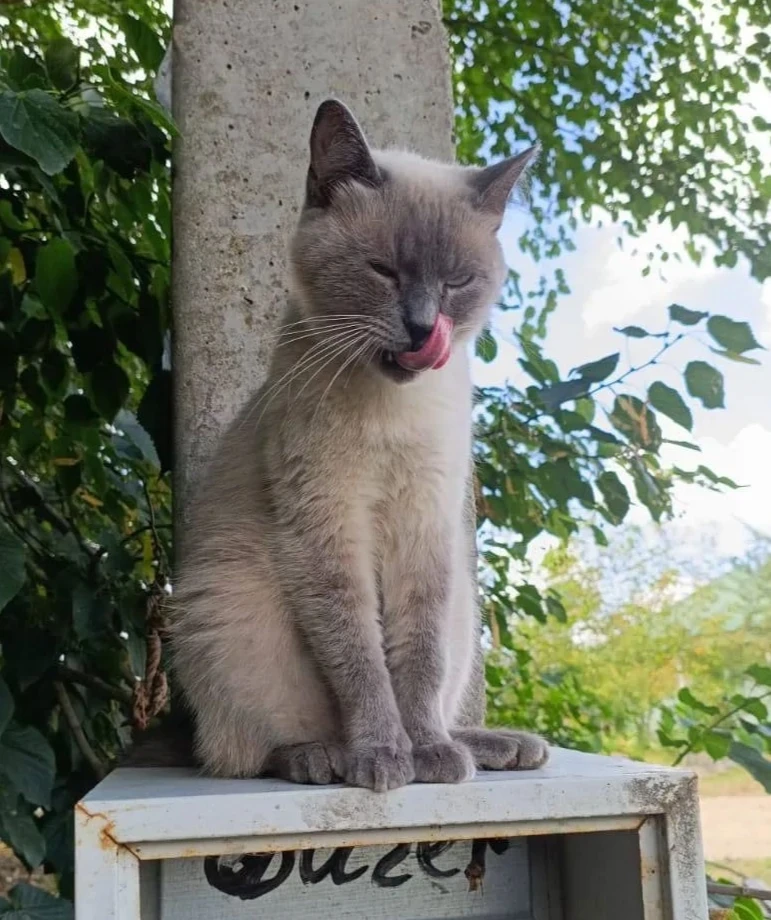 Минутка доброты ❤️