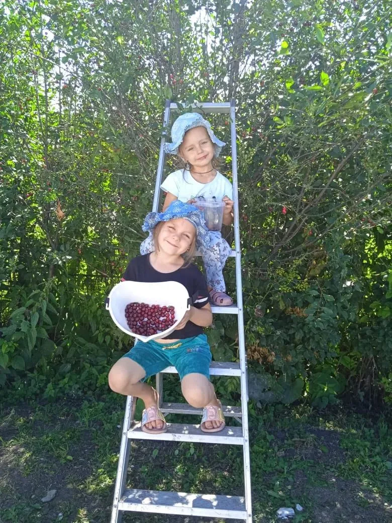 Лето наших детей: ягоды, солнце и творчество 🍓☀️

Спасибо всем родителям, кто откликнулся и прислал