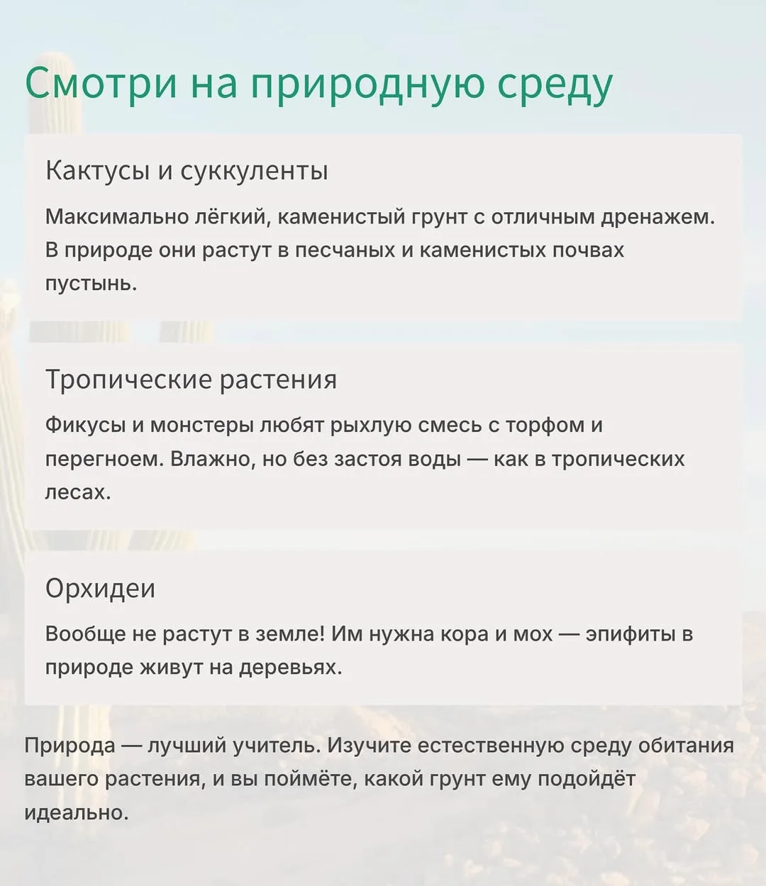 Как понять,какой грунт нужен растению 🤔