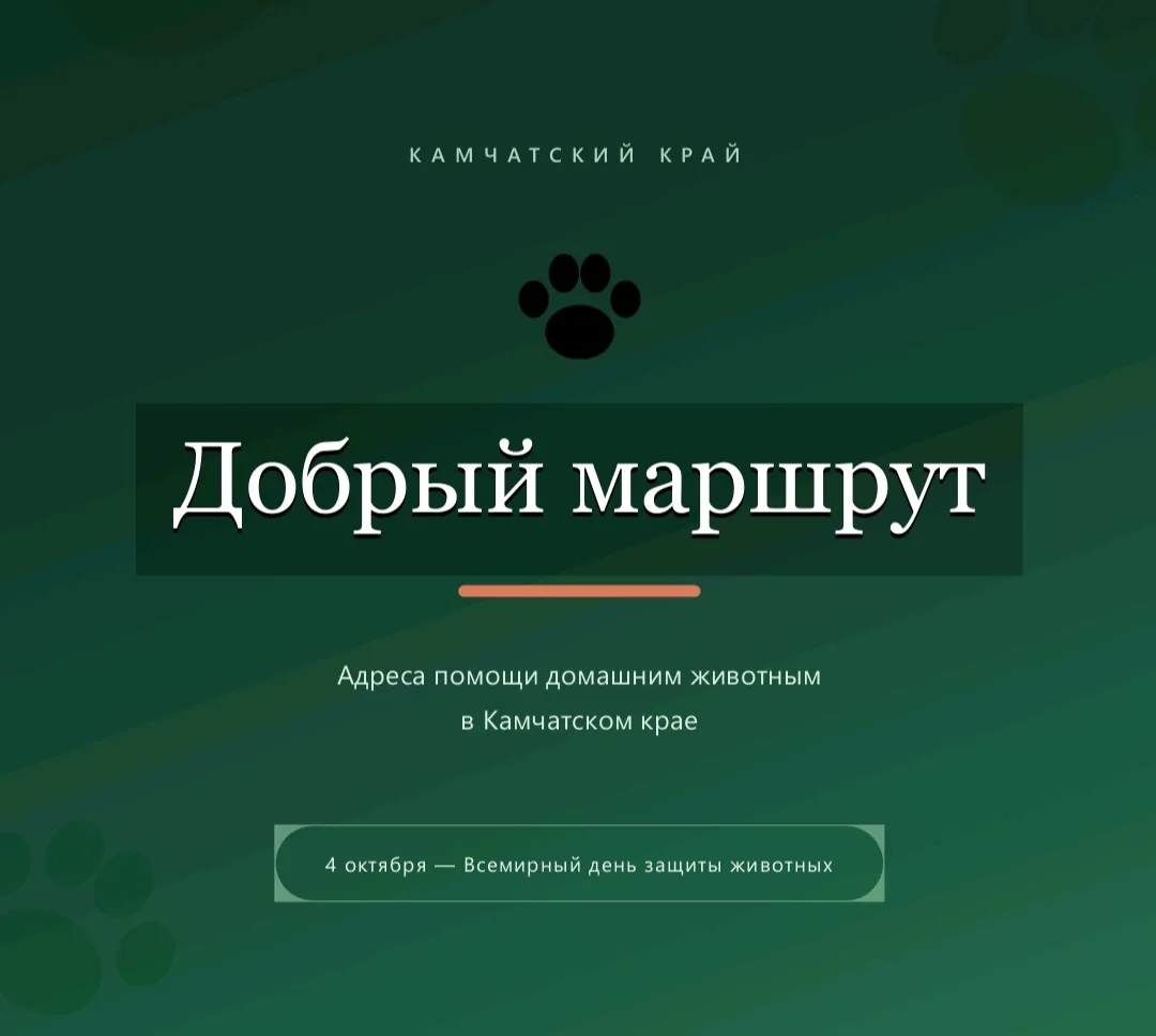 ПОДСЛУШАНО •ВИЛЮЧИНСК📢