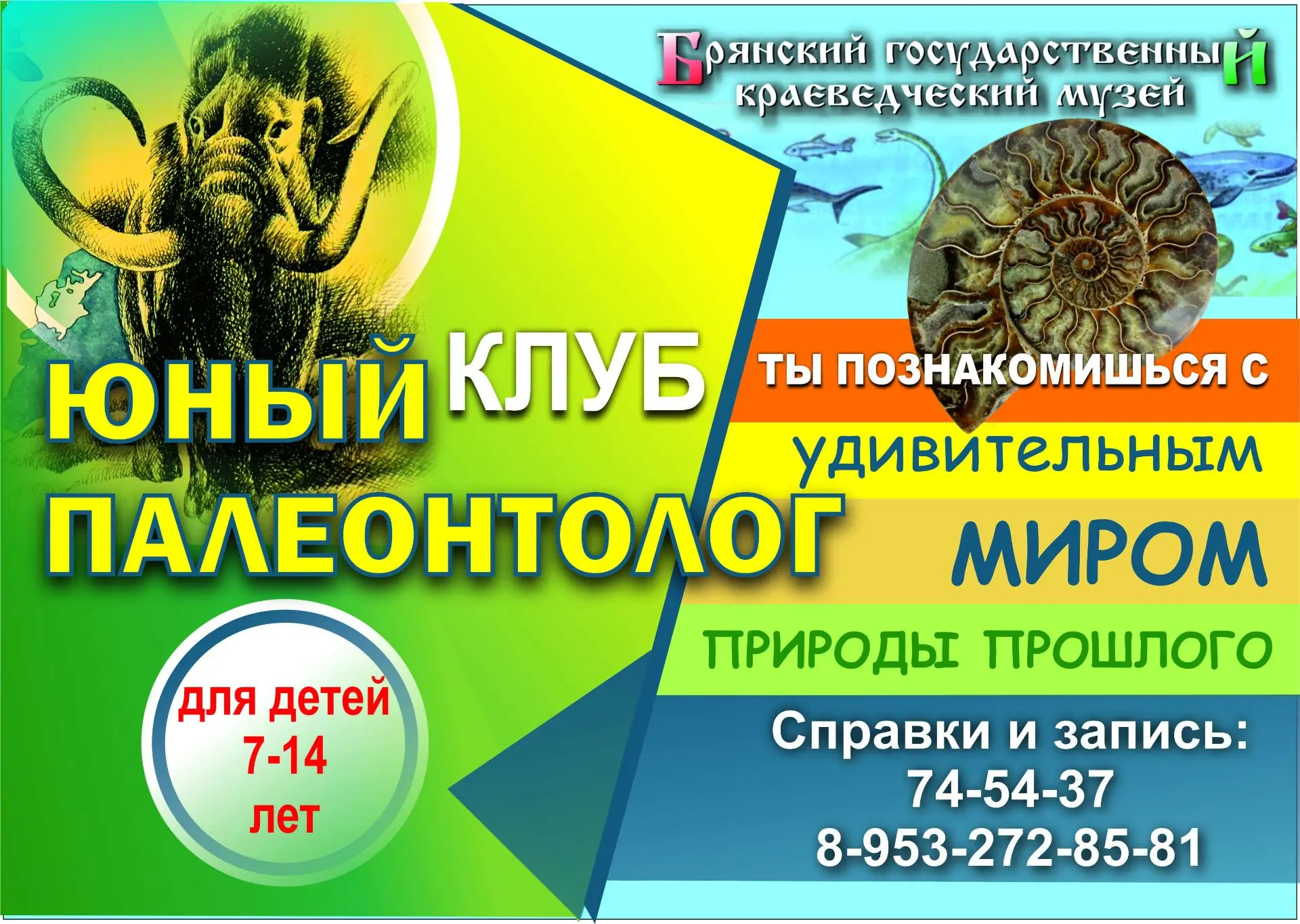 🤩3 октября 2026 года в 11.00 ждем всех будущих юных палеонтологов в Брянском краеведче...
