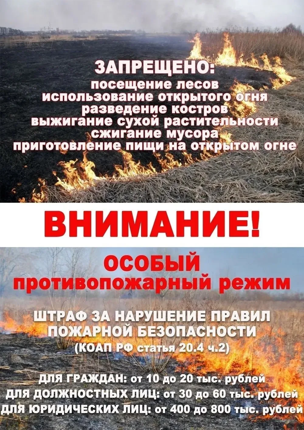 С 26 августа 2026 года в Курской области введен особый противопожарный режим.