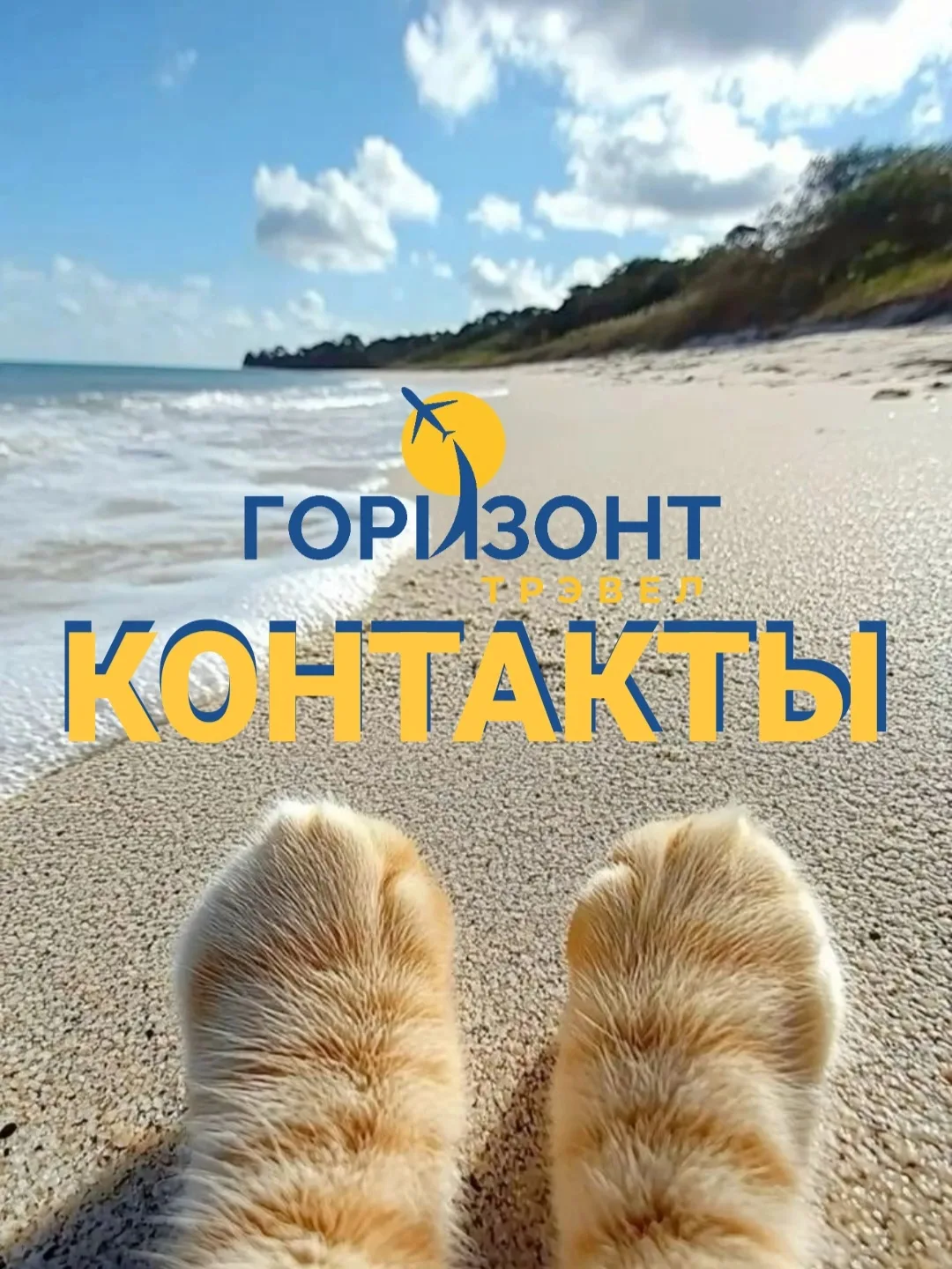 Друзья, чтобы вы нас не потеряли, оставим наши контакты⬇️