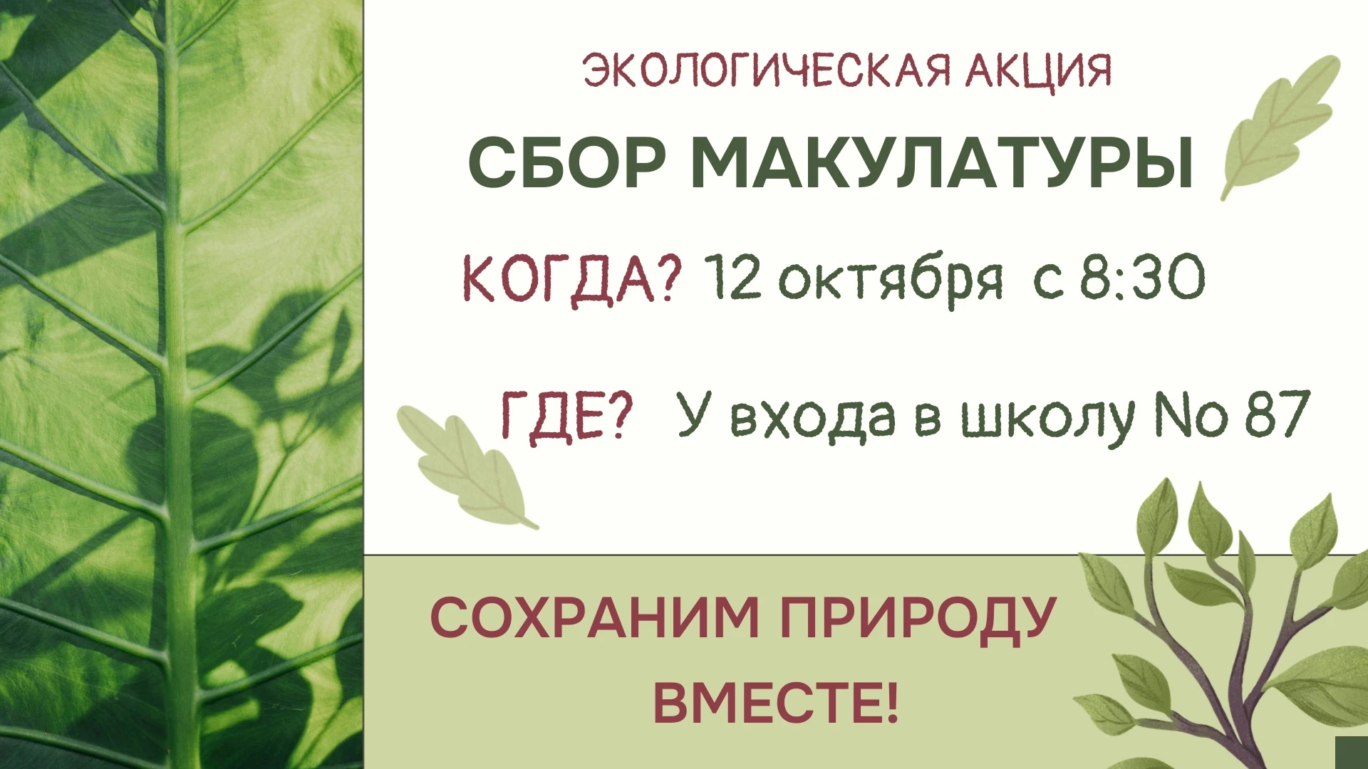 Медиа публикации
