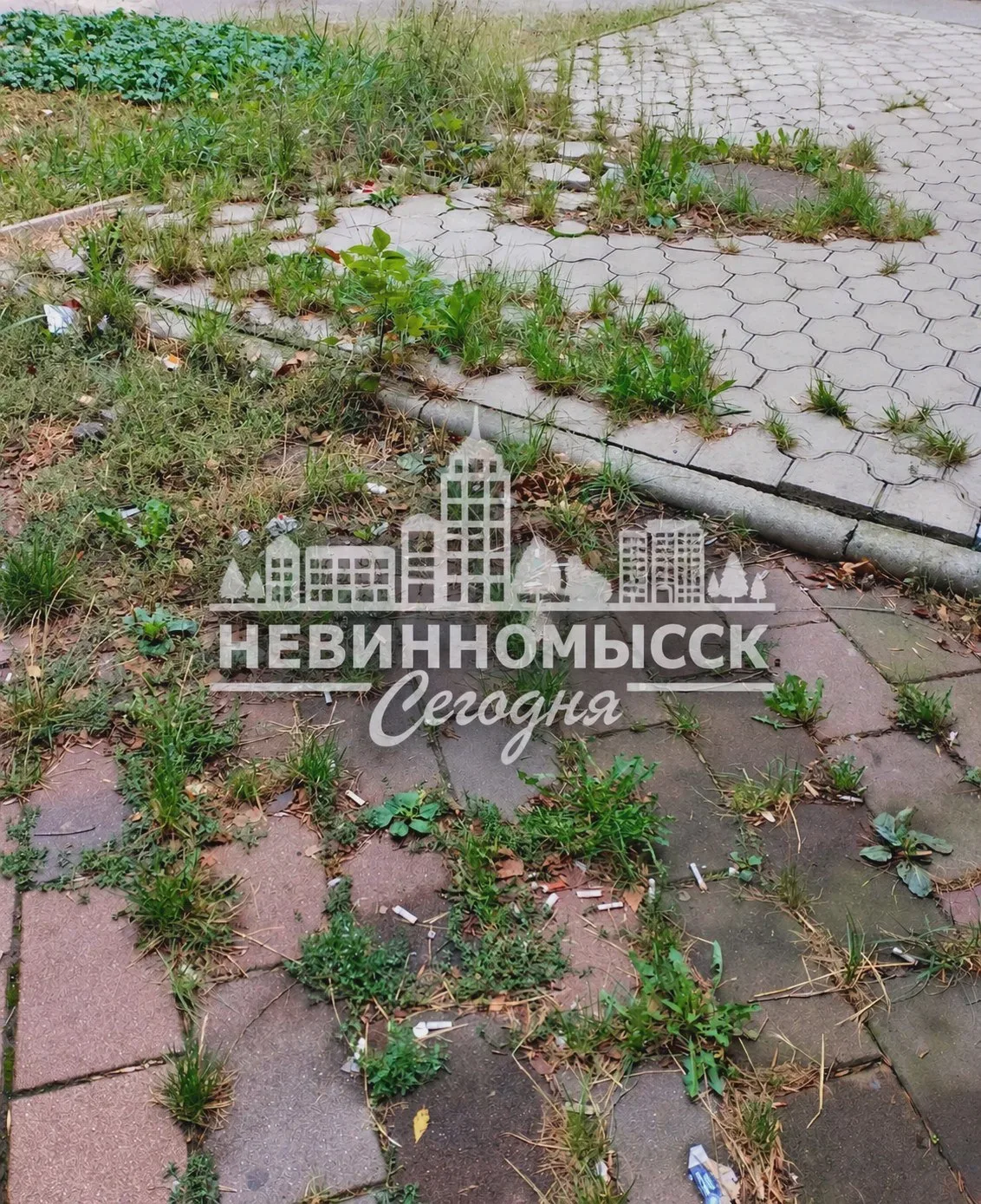 Подписчик пожаловался на замусоренный участок у Гагарина, 47