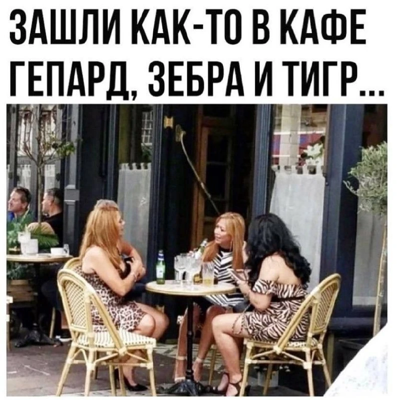 КУКУРУЗА 🌽