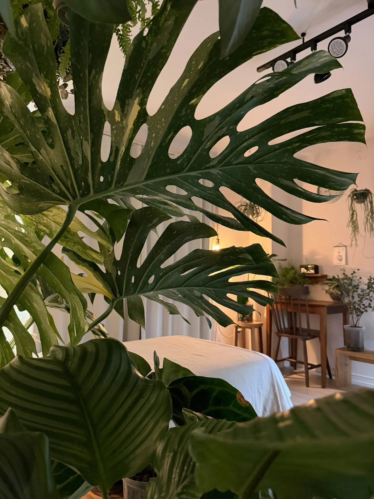 Домашний оазис: когда каждый уголок наполнен уютом и жизнью 🌿✨