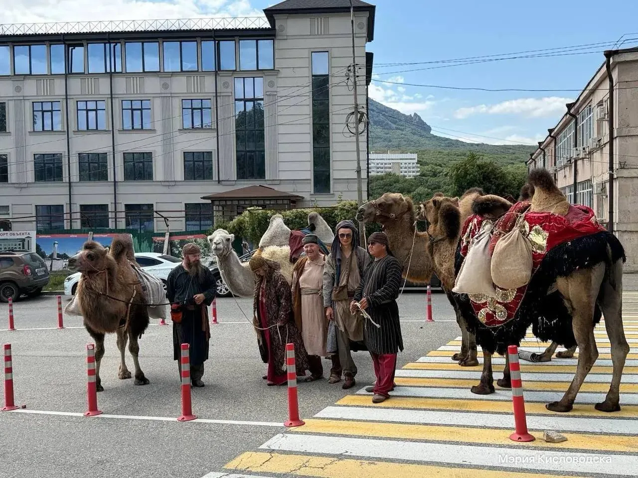 🐫 Верблюды и джигиты прошлись по Железноводску в честь дня рождения города