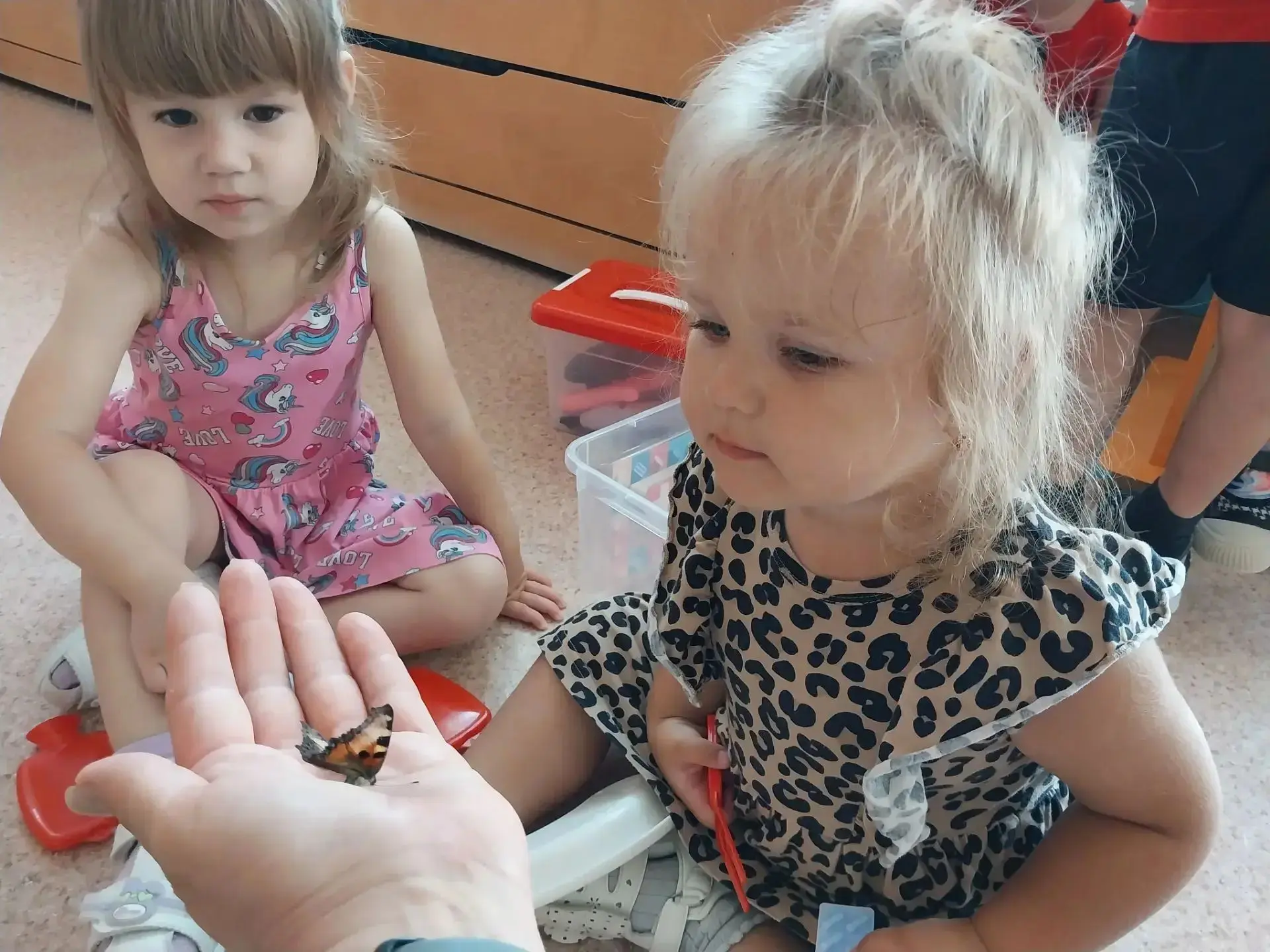 🦋Наблюдение за насекомыми в детском саду: увлекательное путешествие в мир природы! 🐛
В МАОУ СОШ №5