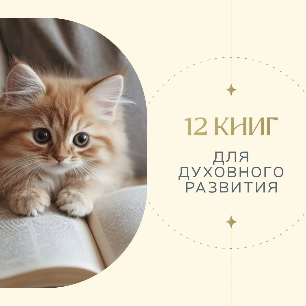 🌸 12 книг для духовного развития

✨ вдохновение, опора и поддержка на пути

В какой-то момент кажды