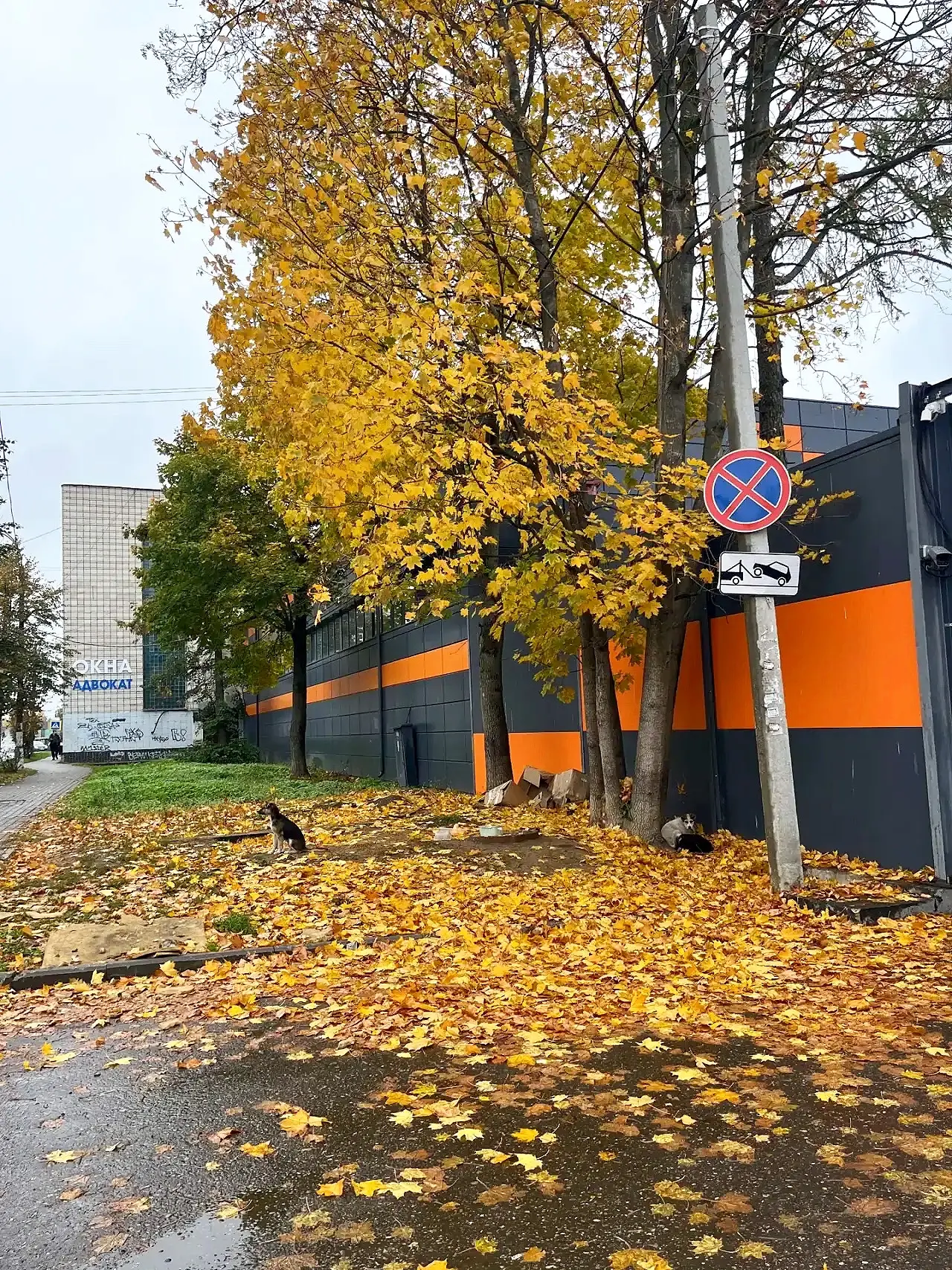 Селятино! Вокзальная улица