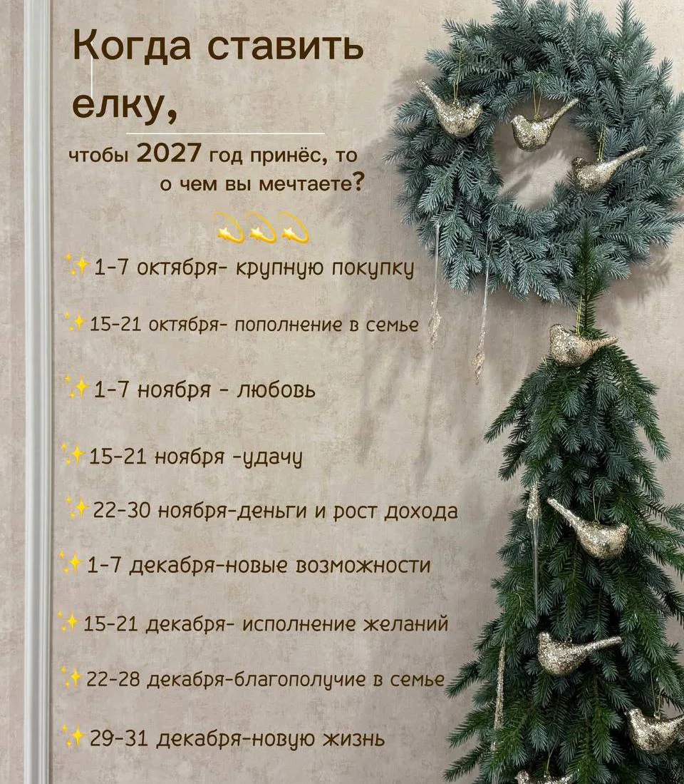 🎄 Нумерологи советуют поставить ёлку уже в октябре