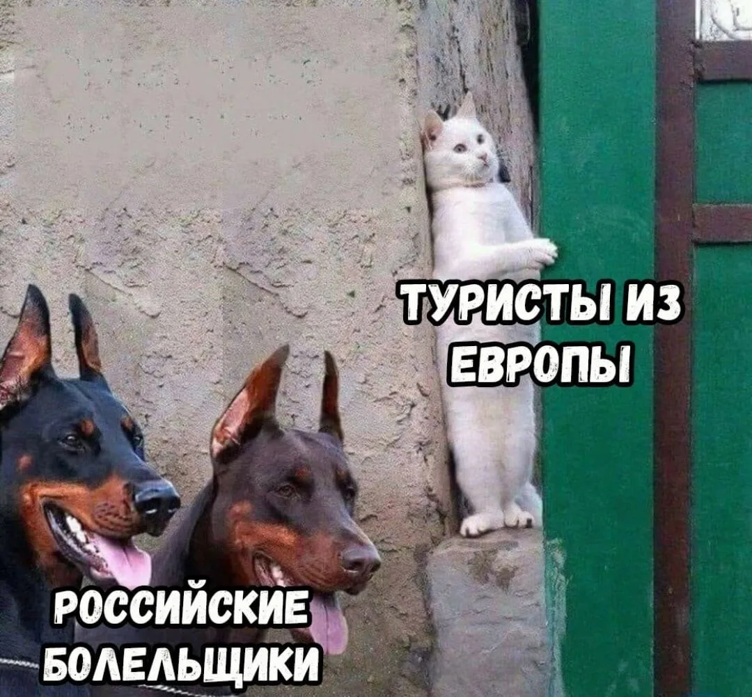 ____________________