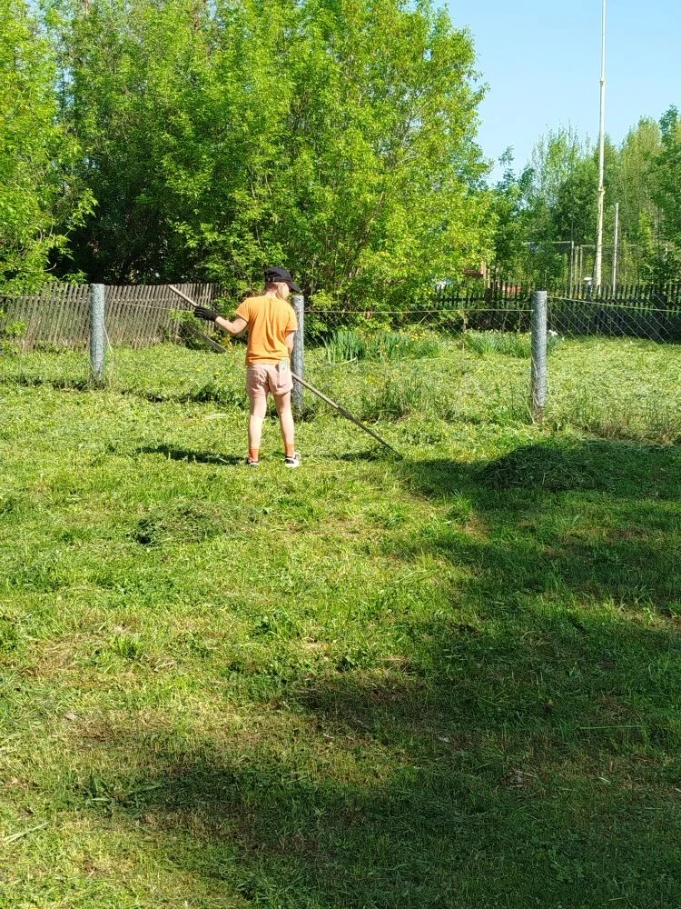 Солнышко, свежий воздух и дружная работа — что может быть лучше? ☀