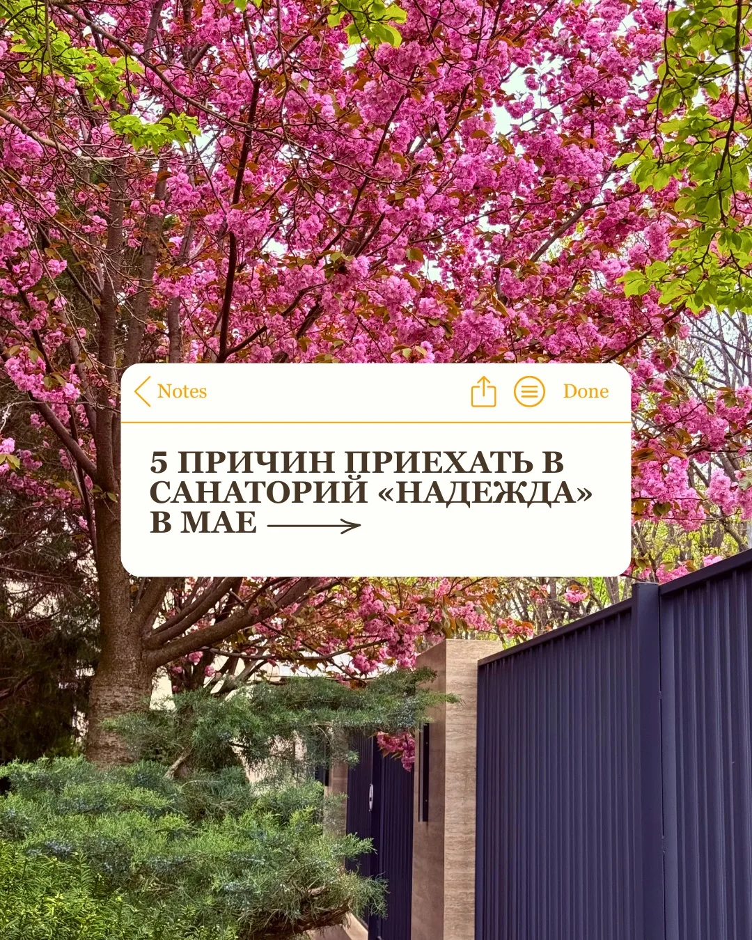5 причин приехать в санаторий «Надежда» в мае 🌊