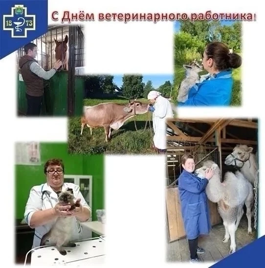 В этот день хотелось бы  поздравить замечательных людей, которые посвятили себя здоровь...