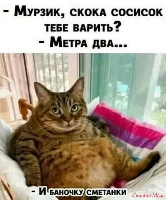 Юмор | Приколы | Мемы 👇🏻