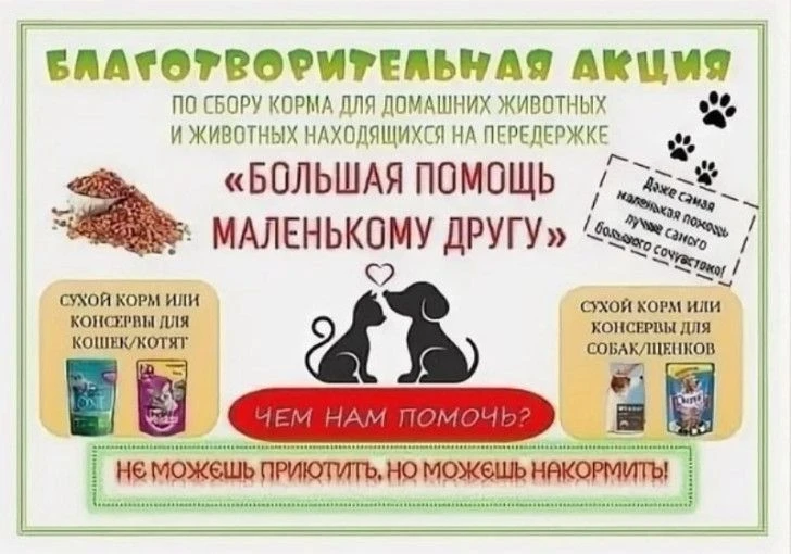 Сердечная акция в нашем детском саду: «Поможем бездомным животным вместе!»