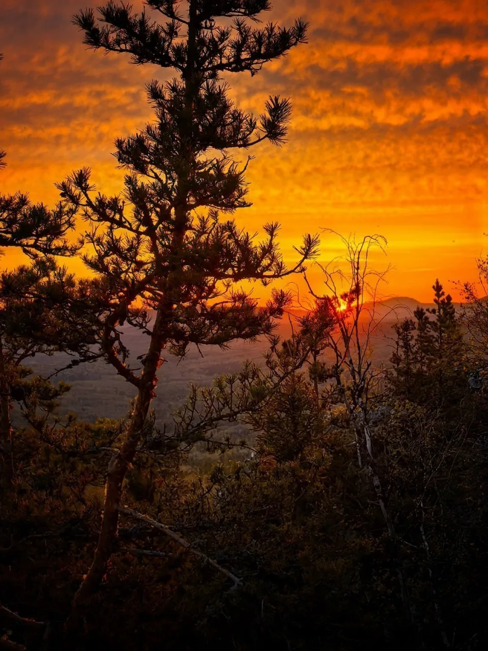 Гора ⛰ Большой Баштур