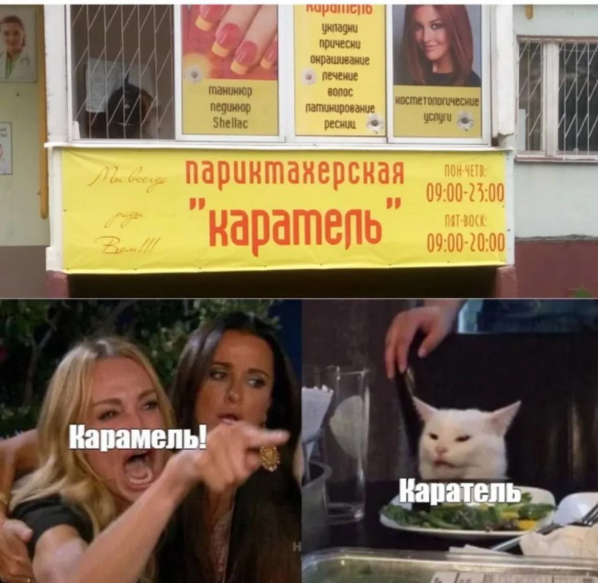 Что видите вы?