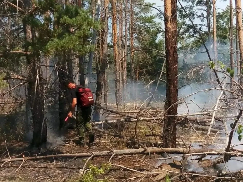 Лесной пожар в Цимлянском районе охватил 121 гектар