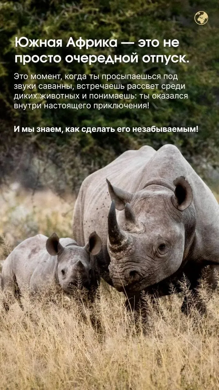 Однажды вы проснётесь на борту круизного лайнера, и ваша жизнь поделится на «до» и «пос...