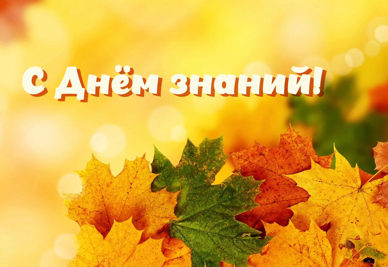 Дорогие коллеги, уважаемые родители и наши самые любимые воспитанники!❤️