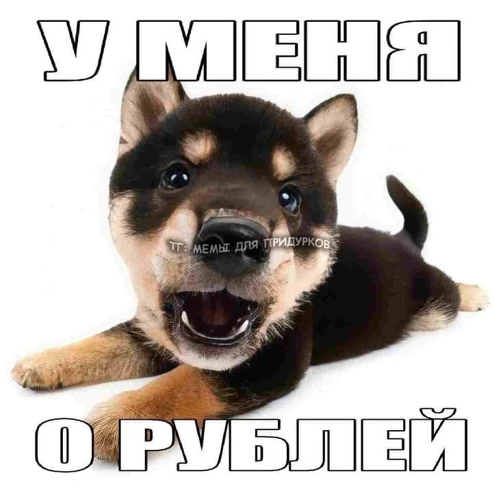 Девчачьи мемы 👑