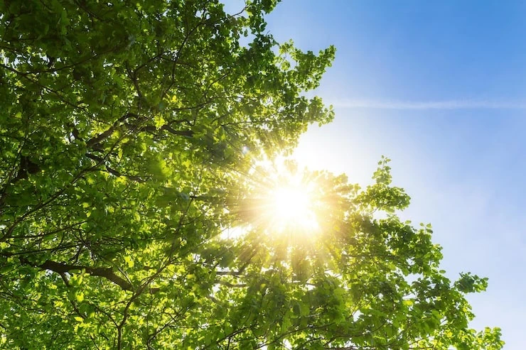 ☀️ Прогноз погоды на 1 августа

Уважаемые жители Каменско-Днепровского муниципального округа!
Делимс