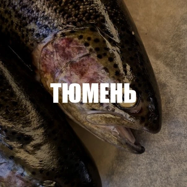 ❗️ТЮМЕНЬ