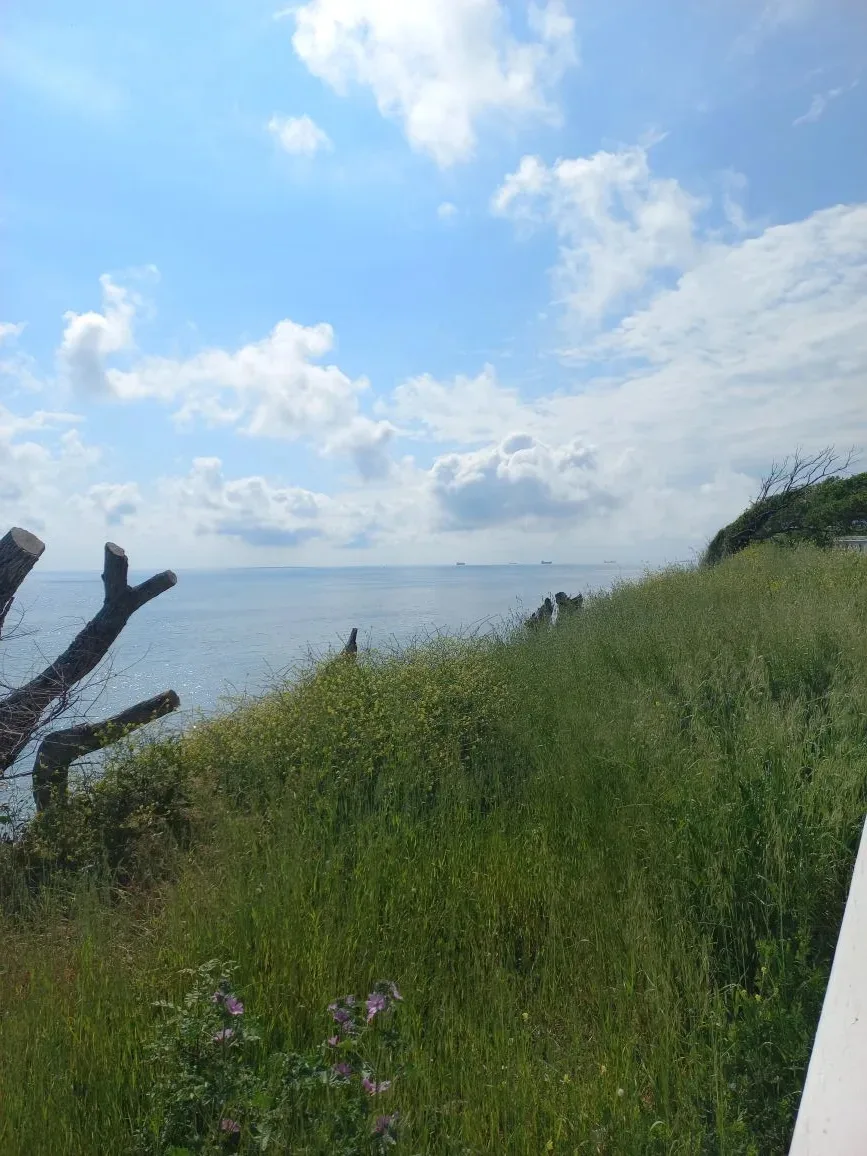 Геленджик радует сегодня солнечной погодой и прекрасными видами ☀️  Красиво, тепло, хорошо — как раз