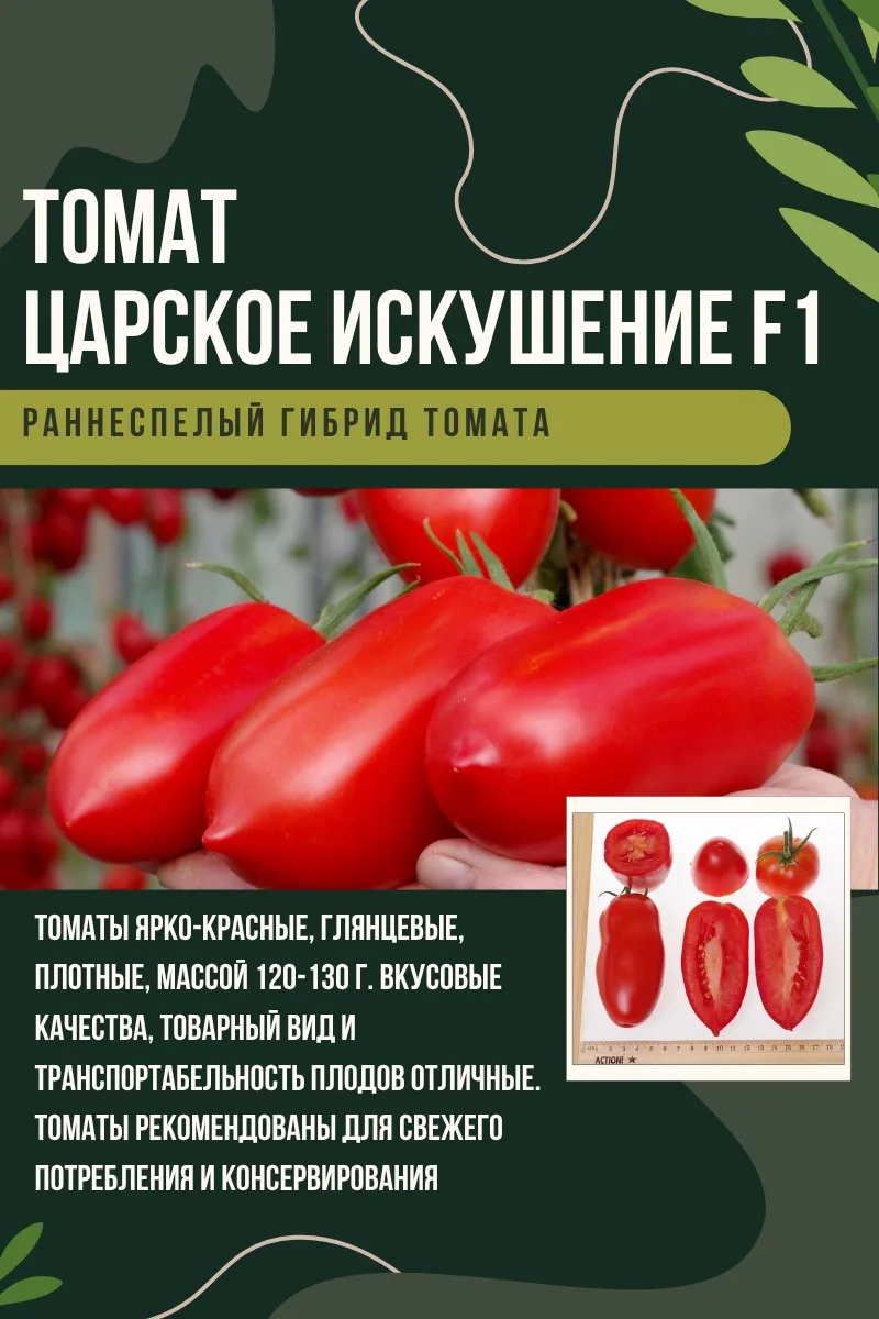 🍅 ТОМАТЫ ДЛЯ КОНСЕРВАЦИИ: ПЛОТНЫЕ И УРОЖАЙНЫЕ СОРТА Если вы делаете заготовки, то точно знаете — не 