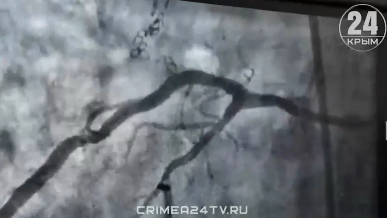 В Симферополе в Республиканской клинической больнице имени Н. А. Семашко успешно провел...
