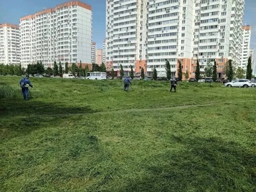 Более 6000 гектаров сорной травы скосили в Краснодаре. 

Особое внимание уделяют частному сектору, с