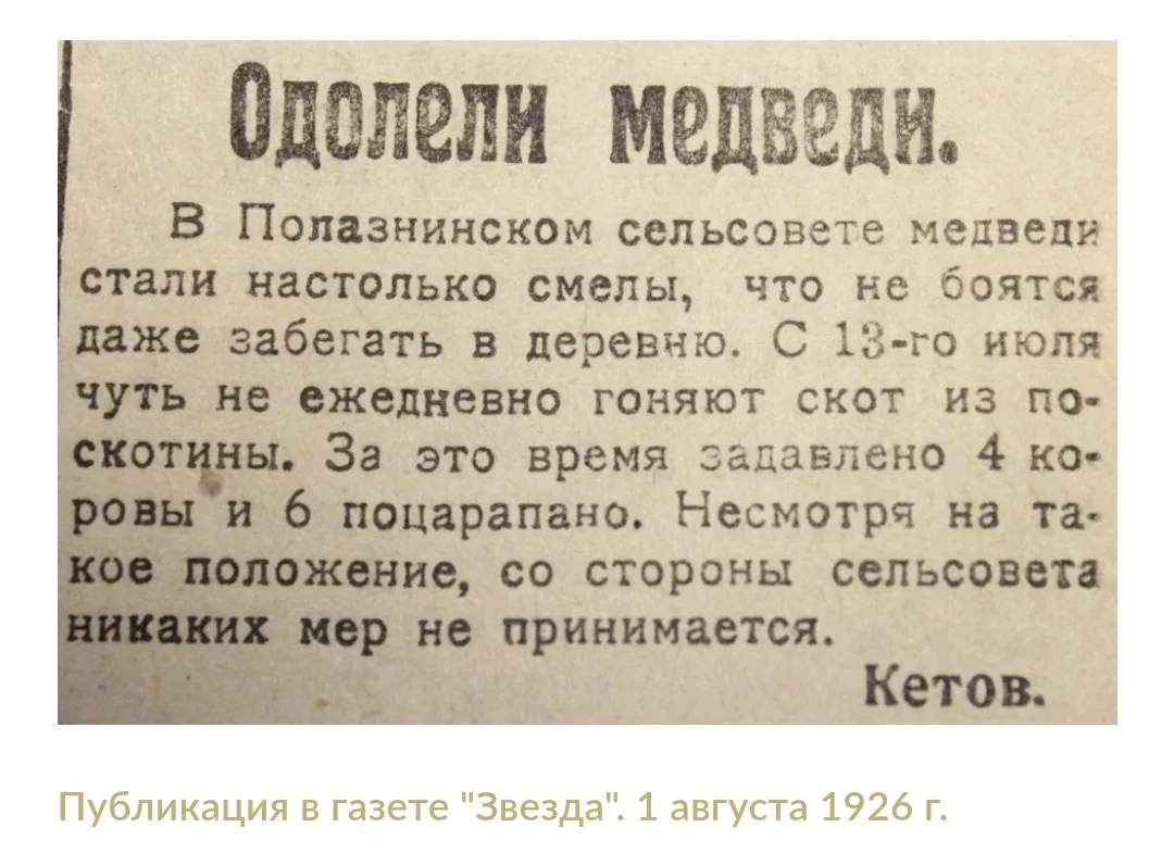 "Медведи идут на деревни": век назад уральская глубинка уже сталкивалась с нынешней нап...