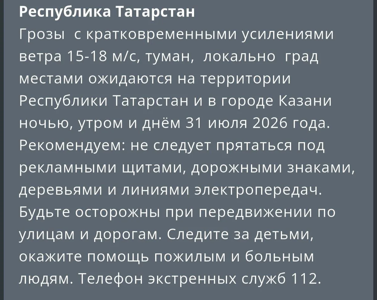 ⚠️ Татарстан накроют грозы и сильный ветер

Ночью, утром и днём 31 июля в Татарстане и Казани ожидаю