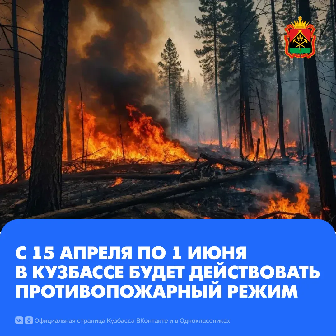 С 15 апреля по 1 июня 2026 года в Кузбассе будет действовать особый противопожарный режим  Подробнее