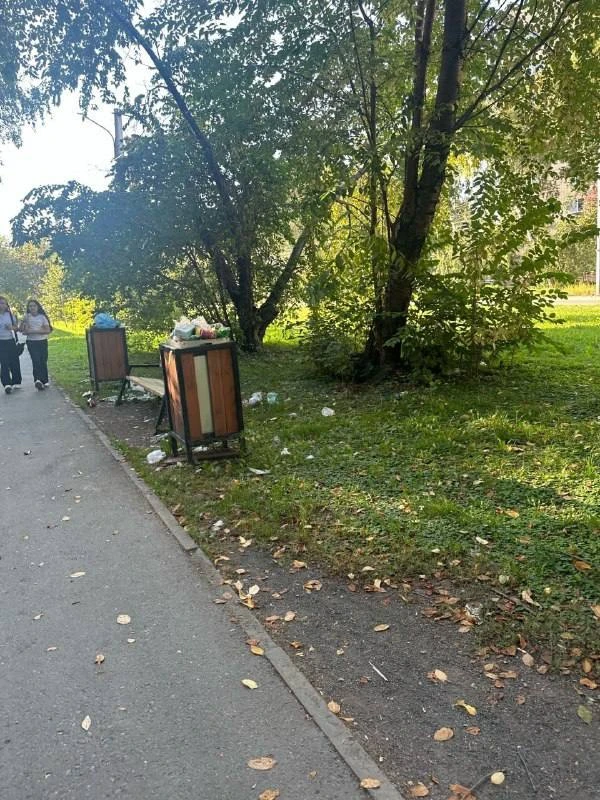 🫤 Новые урны в Кировском районе не пережили первую неделю