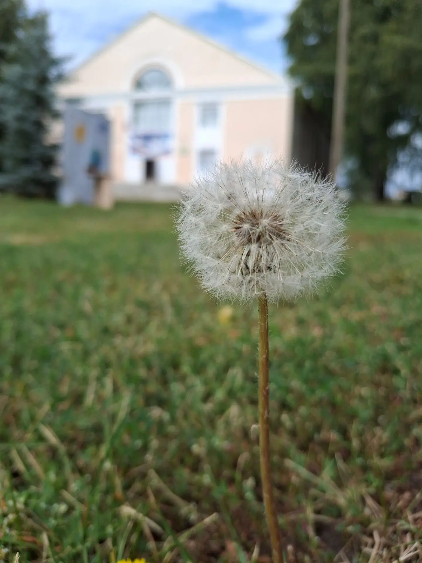 ✨️С добрым утром, дорогие односельчане и гости нашего села! 🌞