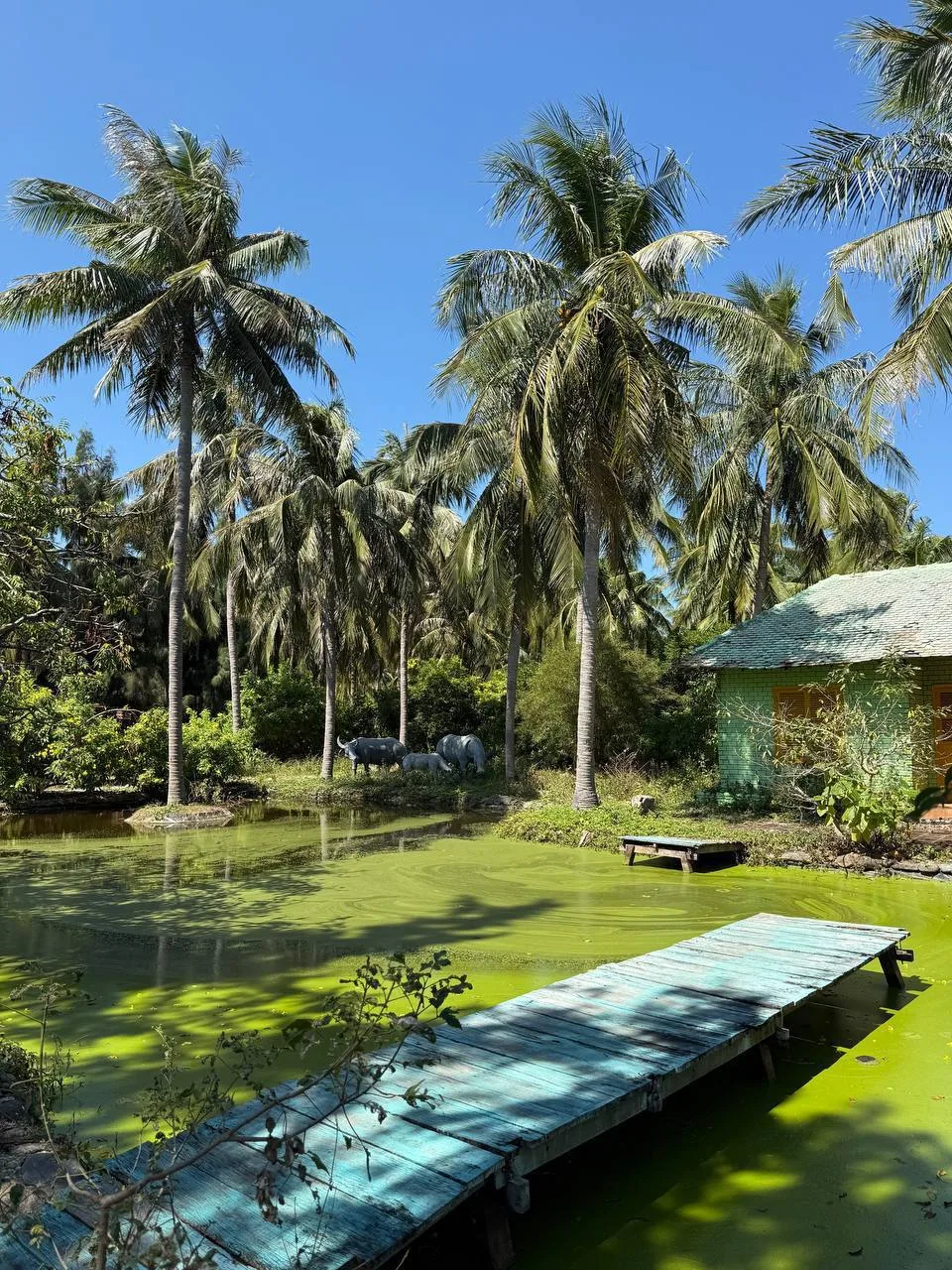 Selectum Noa Resort Cam Ranh 5*