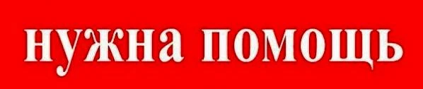 ‼️Ищу двоюродного брата, в Балтийске никого не знаю. Может ему нужна помощь, телефон ег...