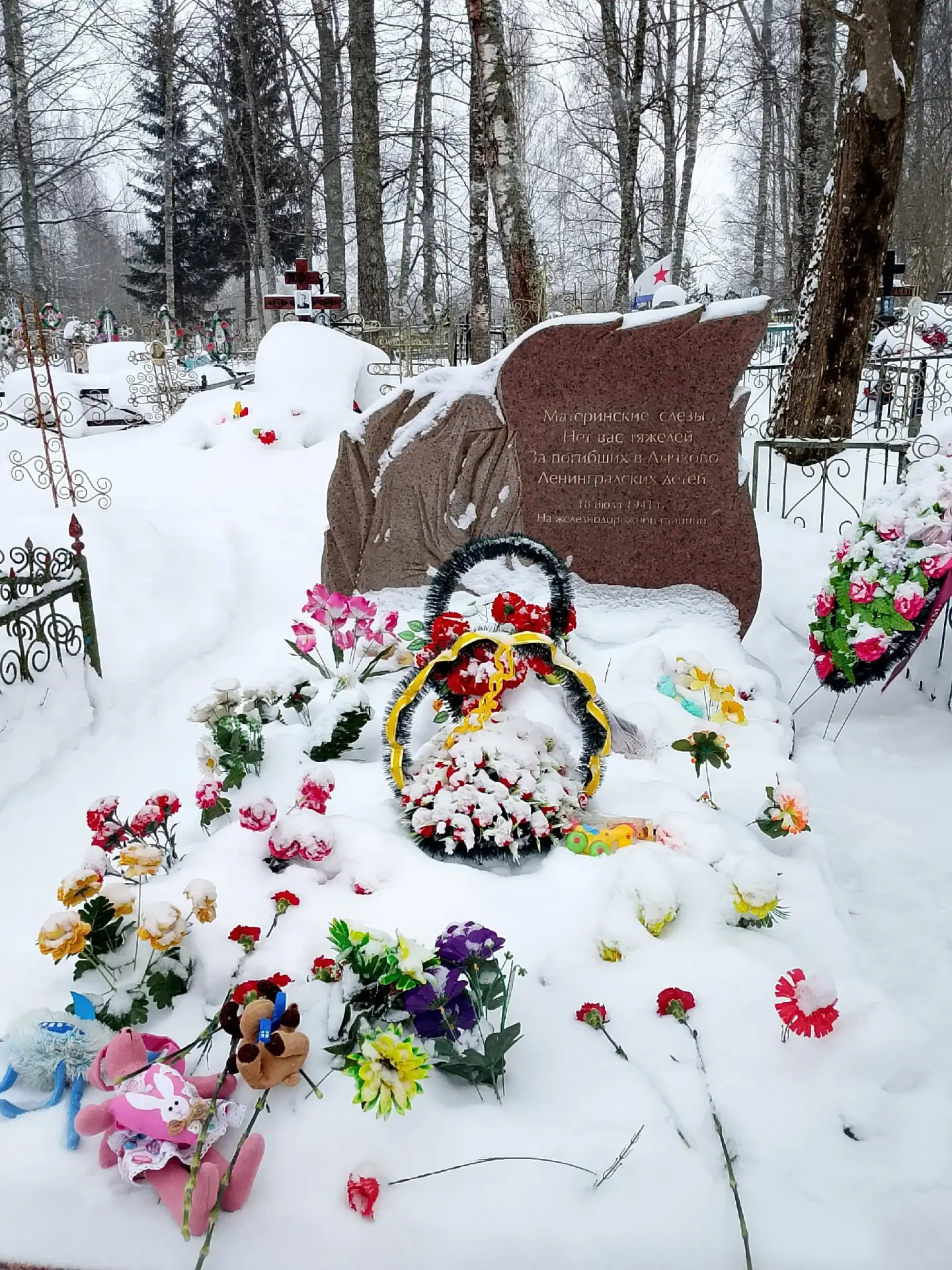 Благодарим Клуб "Надежда" и классного руководителя 6а класа Светлану Николаевну Дмитриеву за организ