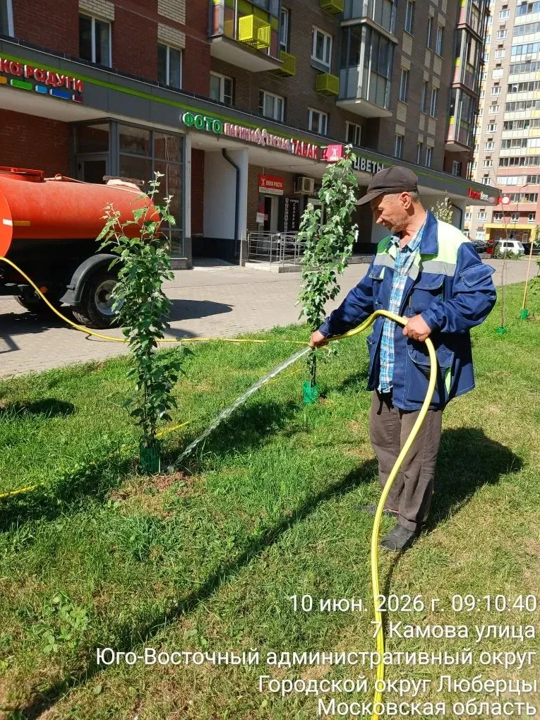 🌳 Лето во дворе — это не только покос травы
В рамках летнего содержания придомовых территорий сотру