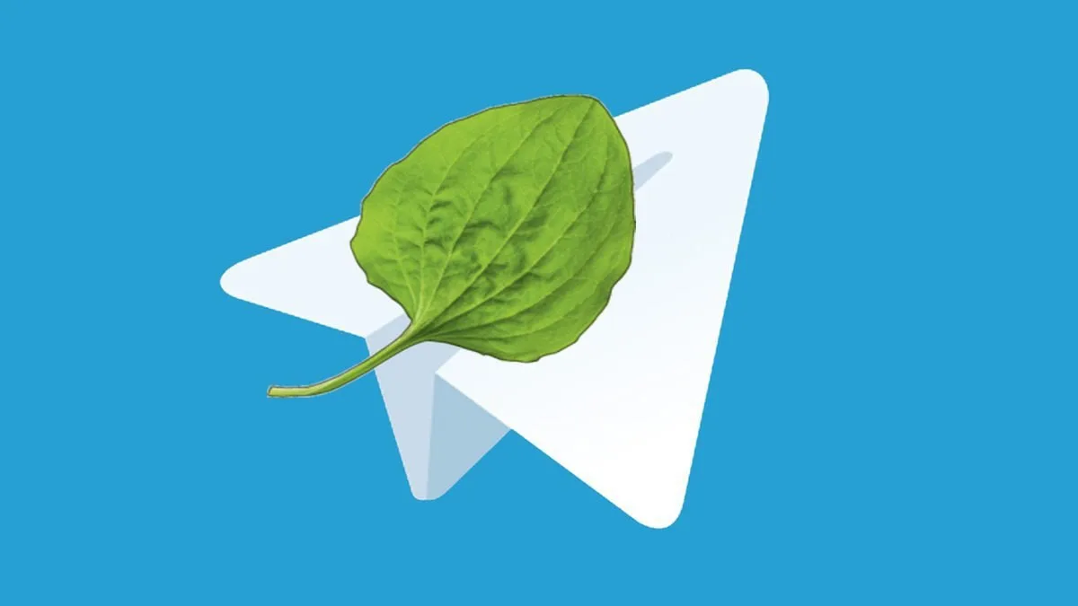⚡️Telegram не станет автоматически запрещённым или экстремистским ресурсом — ограничения коснутся пр