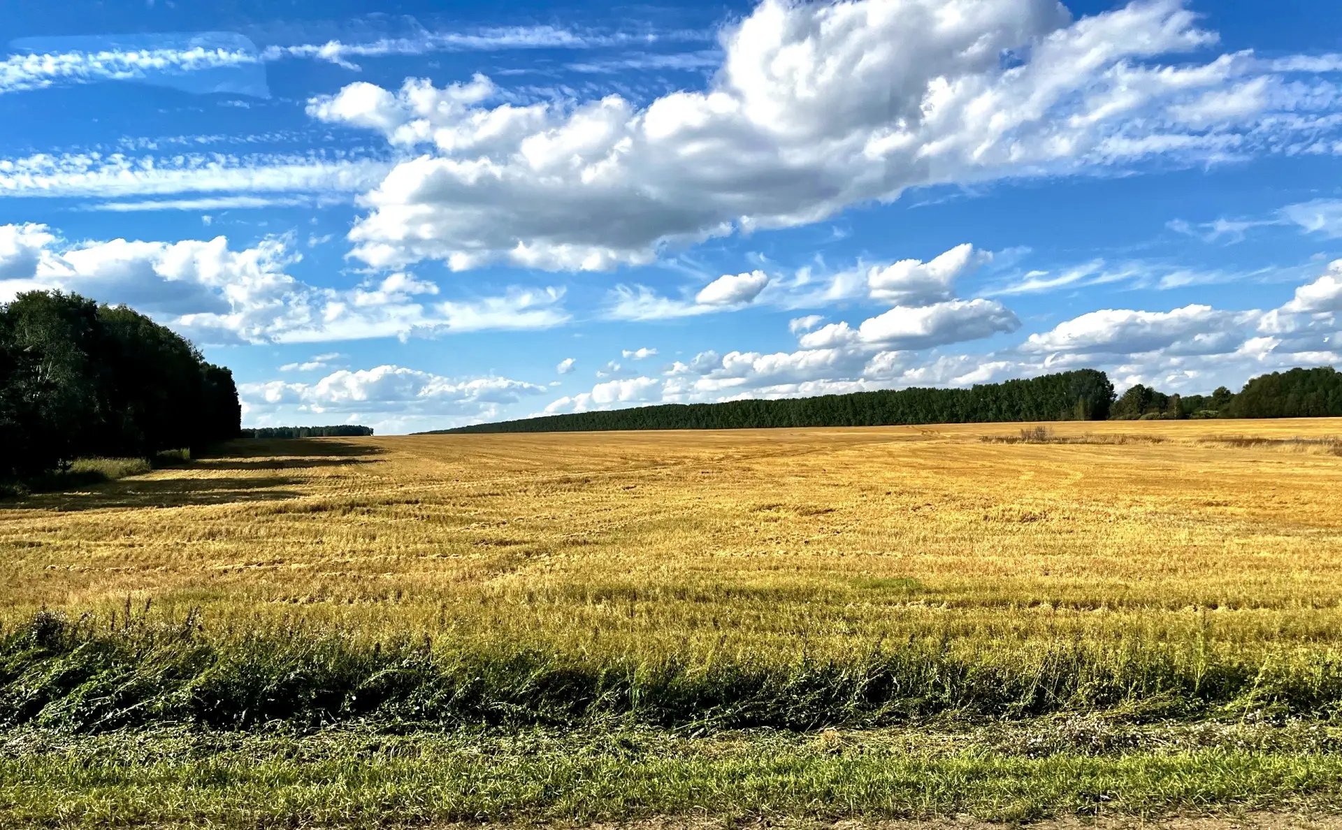 Доброе утро, уважаемые жители Гурьевского округа 🌤️