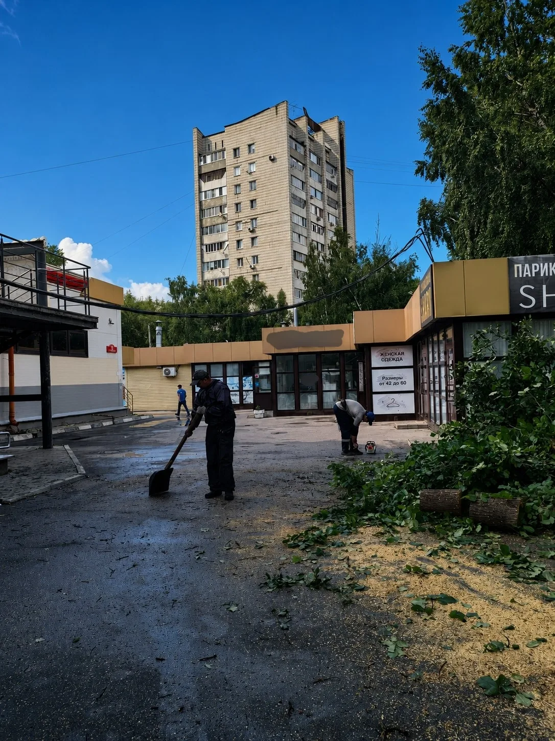 🪚 Городские бригады продолжают уборку упавших деревьев.