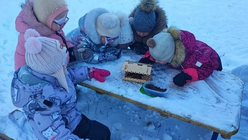 Зима – трудное время года для пернатых.