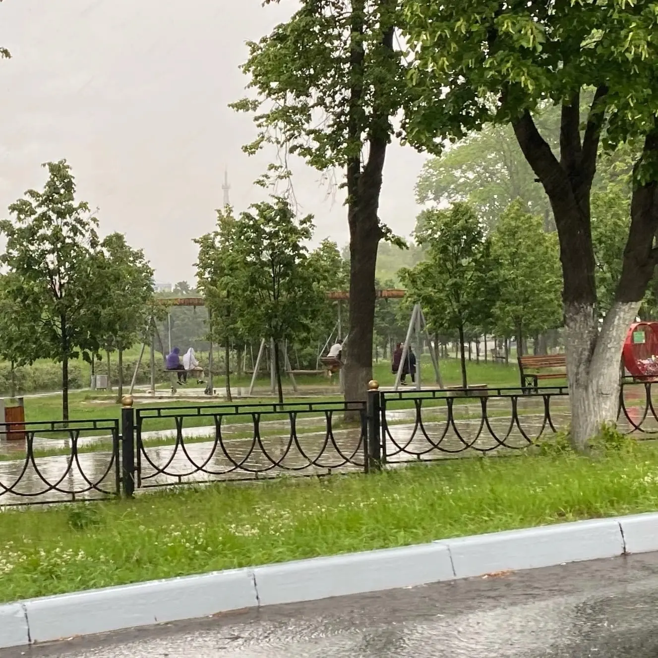 На Подмосковье этой ночью обрушится тропический ливень, — синоптики